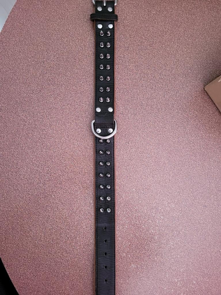 Leren hondenhalsband met spikes, Ophalen