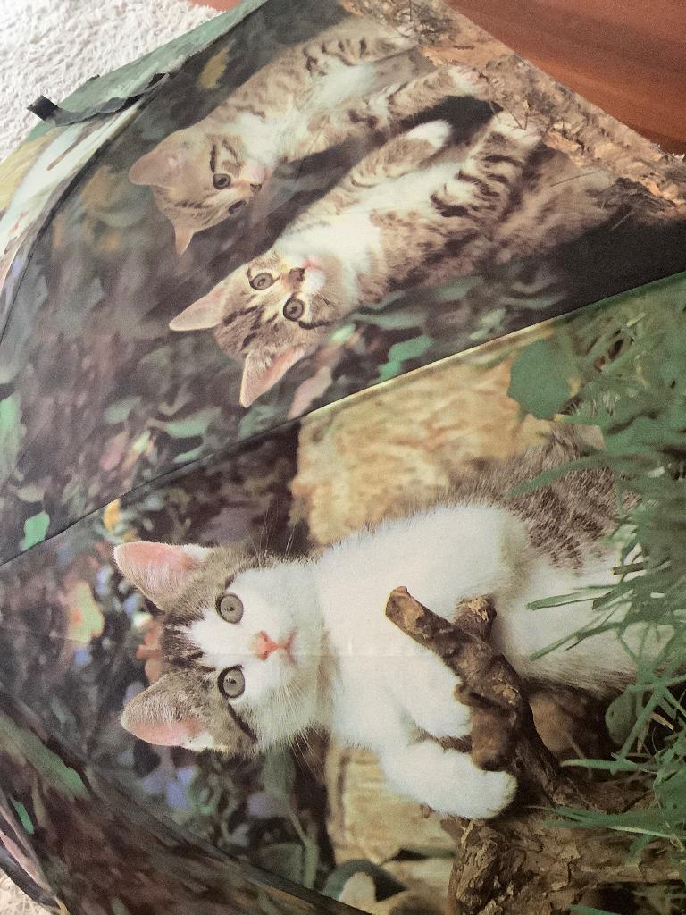 Doppler automatic Paraplu motief katten kitten, Ophalen of Verzenden, Zo goed als nieuw