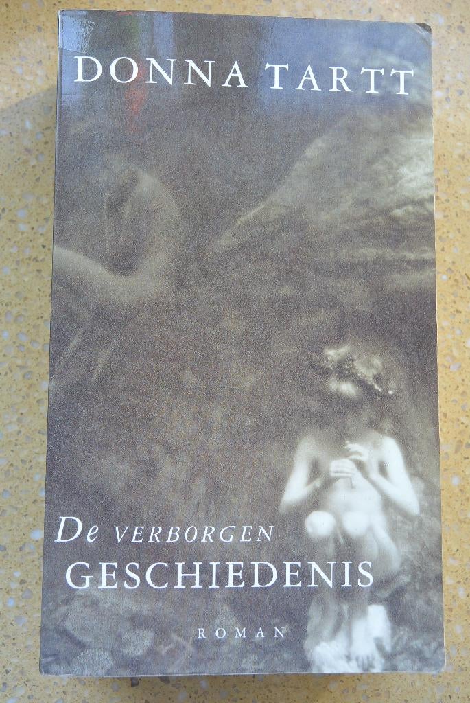 De verborgen geschiedenis Donna Tartt Roman, Boeken, Gelezen, Ophalen of Verzenden, Donna Tartt, Amerika