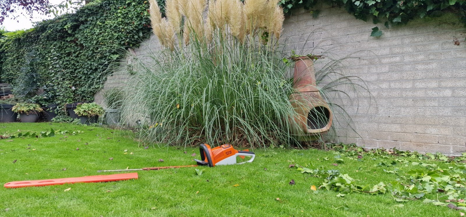 stihl accu heggenschaar HSA 86 62cm, Ophalen, Gebruikt, 20 m² of meer