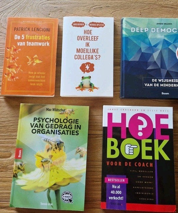 Zakelijke boeken over teamwork en psychologie, Zo goed als nieuw, Patrick Lencioni, Max Wildschut, Jitske Kramer, Gamma, HBO
