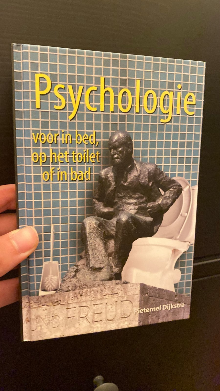 Psychologie voor in bed, op het toilet of in bad - Pieternel, Ophalen of Verzenden, Zo goed als nieuw, Overige onderwerpen