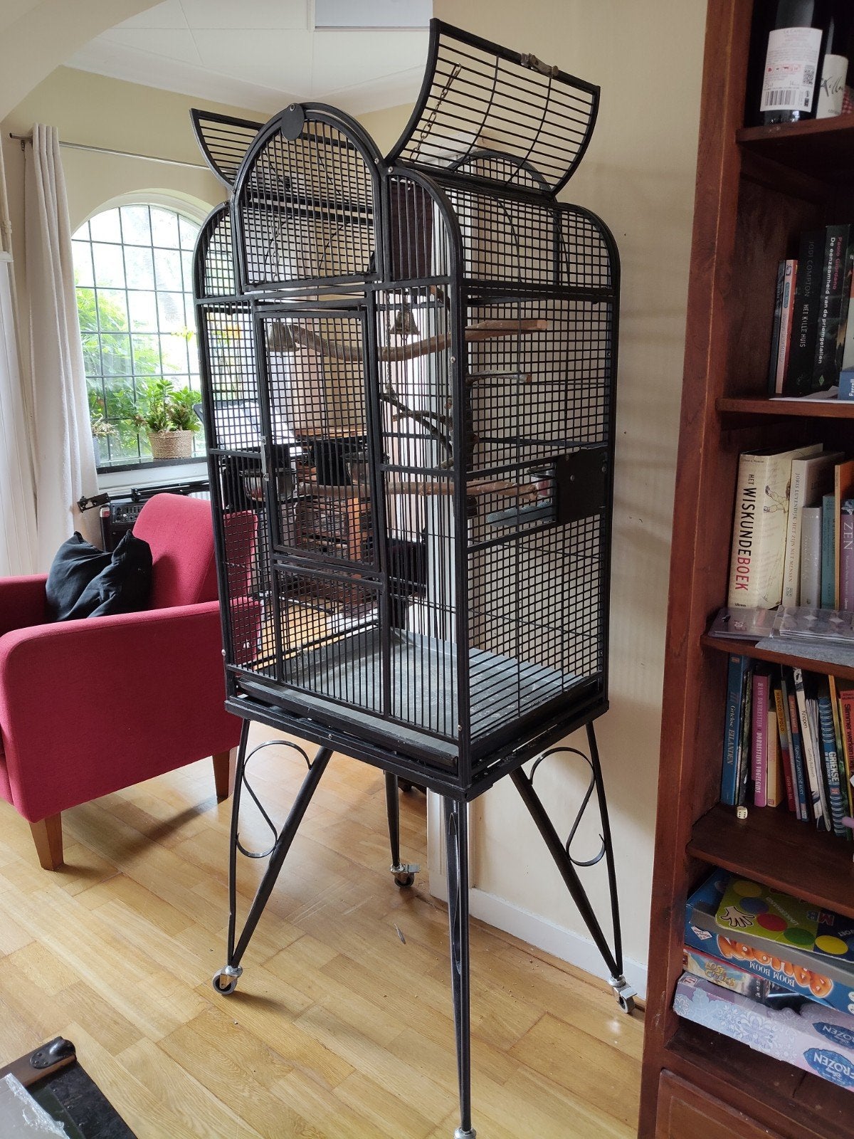 Grote vogelkooi voor parkieten of papegaai e.d., Ophalen, Zo goed als nieuw, Metaal, Vogelkooi
