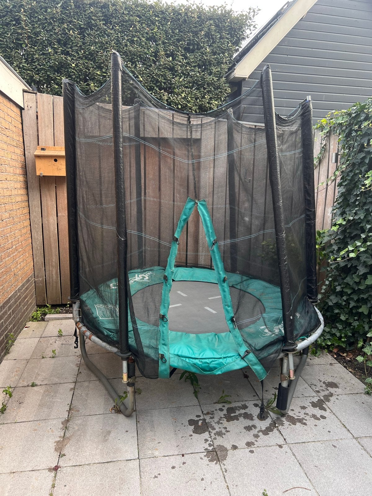 Gratis: Trampoline met veiligheidsnet - Gebruikt, Ophalen, Gebruikt