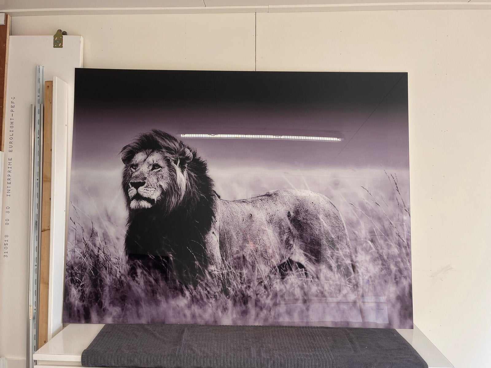 Wand decoratie leeuw op plexiglas, Ophalen, Zo goed als nieuw, 100 tot 125 cm, Foto of Poster