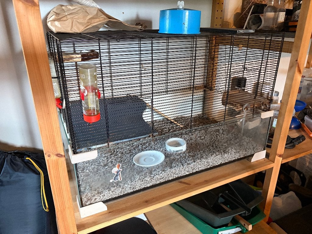 Goede Ratten/Hamster kooi, Dieren en Toebehoren, Knaagdieren en Konijnen | Hokken en Kooien, Kooi, Gebruikt, Hamster, 75 tot 110 cm