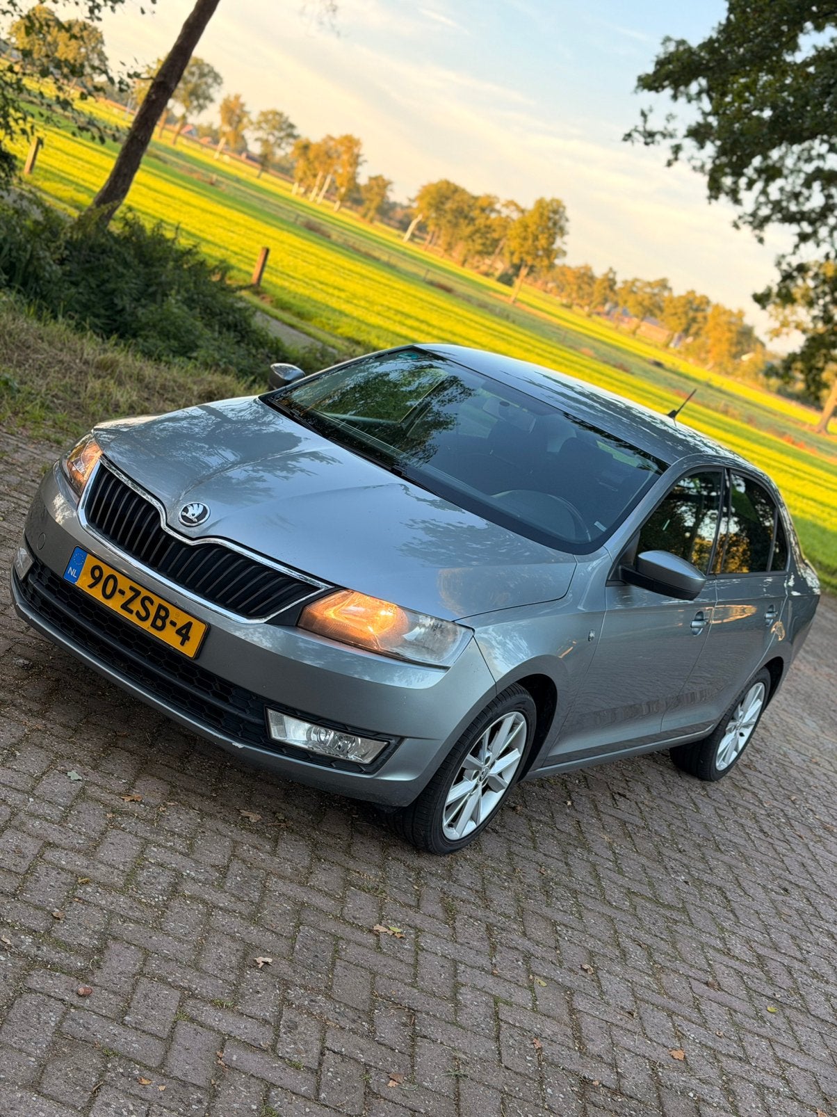 Skoda Rapid 1.2 TSI 63KW 2013 Grijs, Auto's, Voorwielaandrijving, 4 cilinders, 1055 kg, 49 €/maand