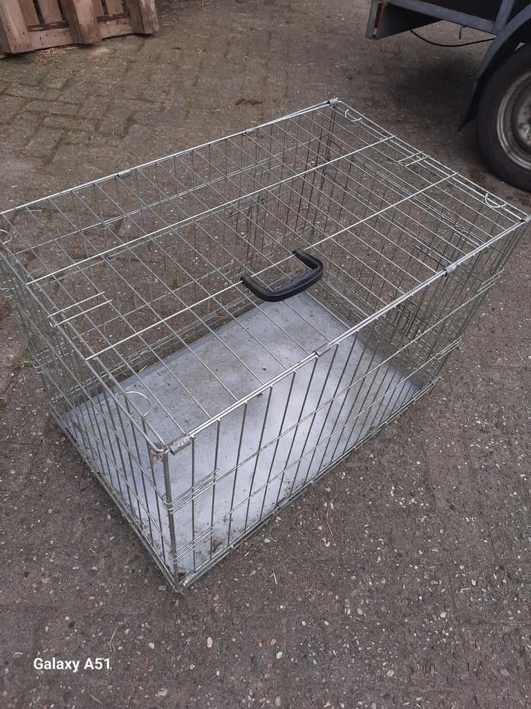 Benz, Dieren en Toebehoren, Ophalen of Verzenden, Minder dan 65 cm