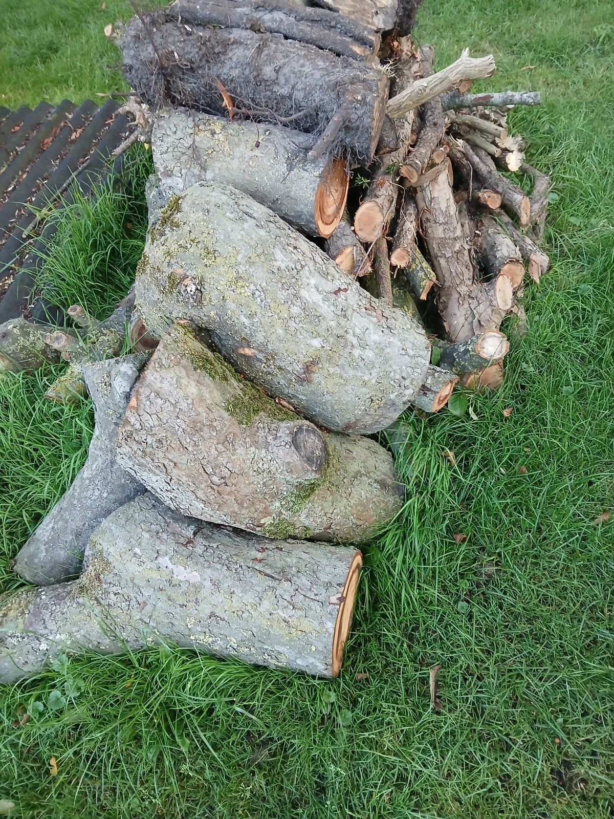 Haardhout., Tuin en Terras, Haardhout, Minder dan 3 m³, Ophalen, Stammen