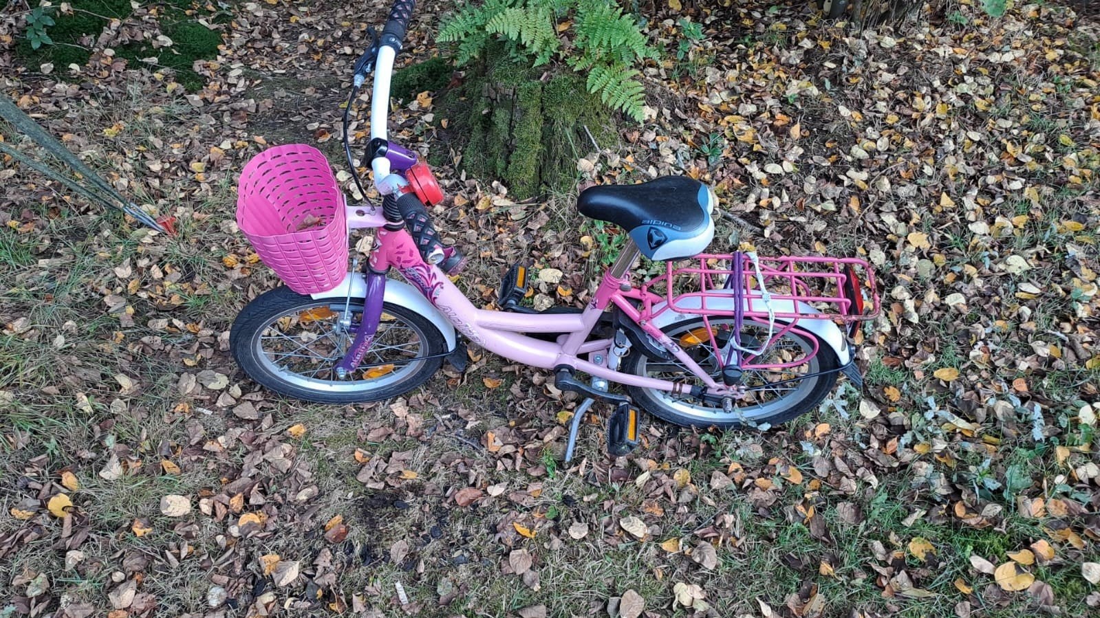 Alpina kinderfiets 16 inch - Roze met mandje, Fietsen en Brommers, Fietsen | Kinderfietsjes, Ophalen, Velgrem, Alpina, 16 tot 20 inch