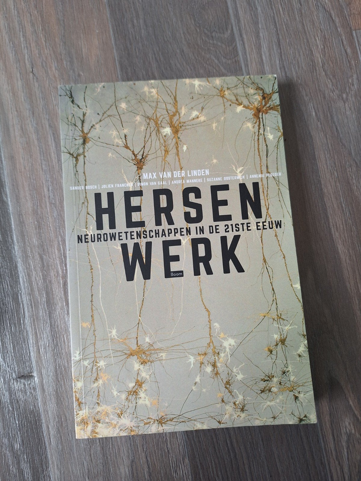Hersenwerk: Neurowetenschappen in de 21ste Eeuw, Ophalen of Verzenden, Gelezen, Max van der Linden, Sander Bosch, Julien Franck, Huub van Gaal