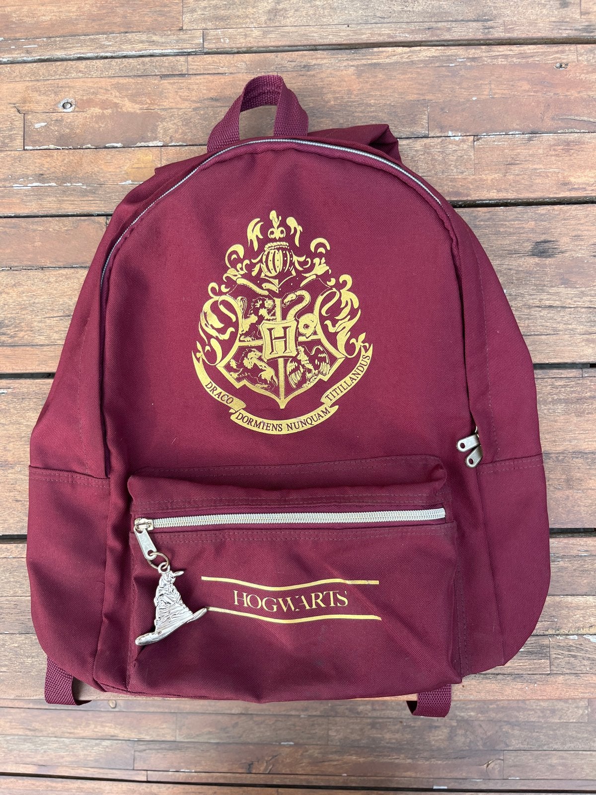 Harry Potter Hogwarts Rugzak - Zo goed als nieuw, Sieraden, Tassen en Uiterlijk, Tassen | Rugtassen, Overige merken, 25 tot 40 cm