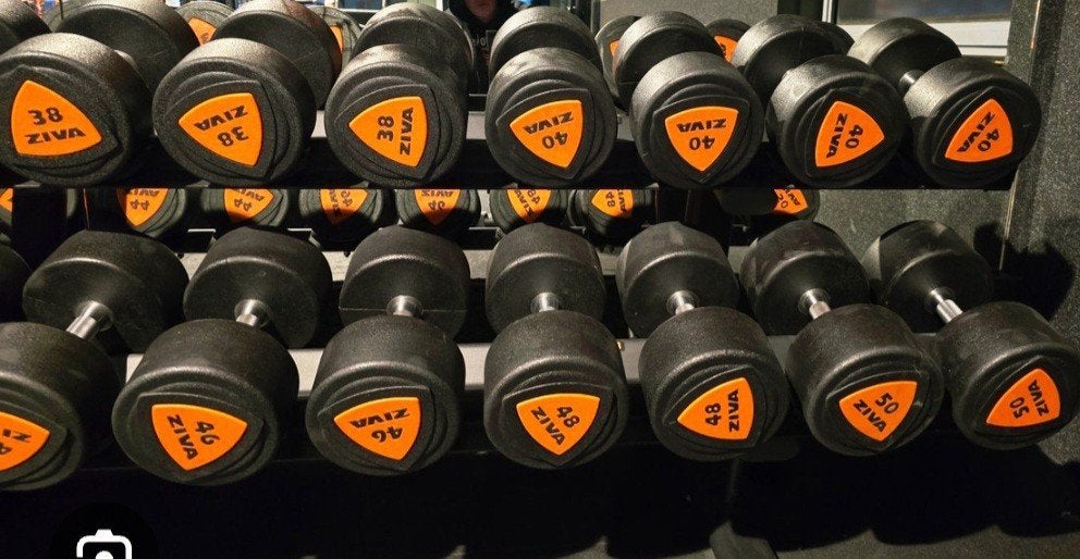 ZIVA Dumbbells - Diverse Gewichten (6kg - 50kg), Sport en Fitness, Ophalen, Gebruikt, Rug, Dumbbell