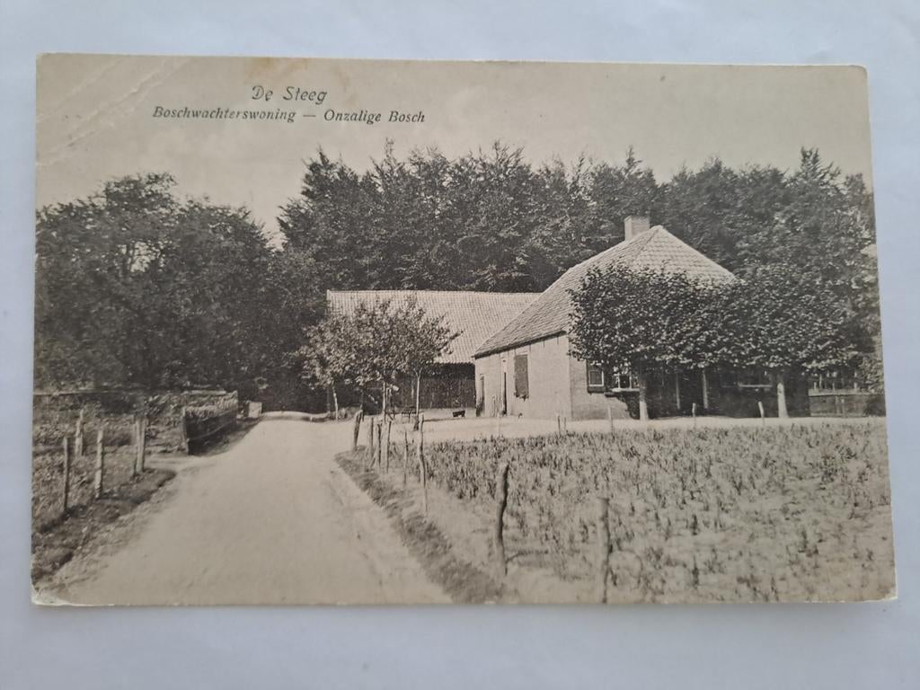 De Steeg,  boswachter woning, Ophalen of Verzenden, Gelderland