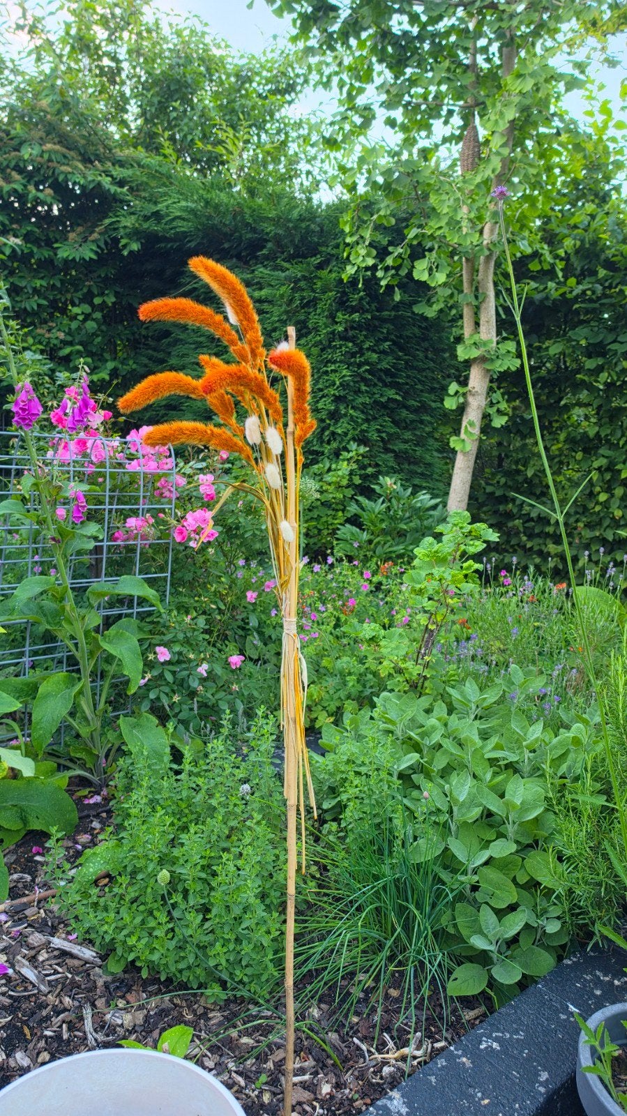 12 Stuks Droogbloemen op Bamboe - Bruiloft Decoratie, Ophalen