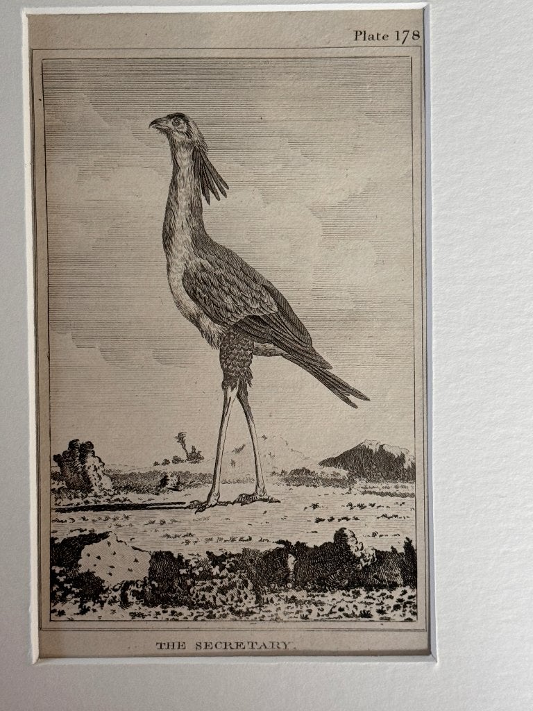 ets, Ophalen of Verzenden, Gravure, 1800 - 1899
