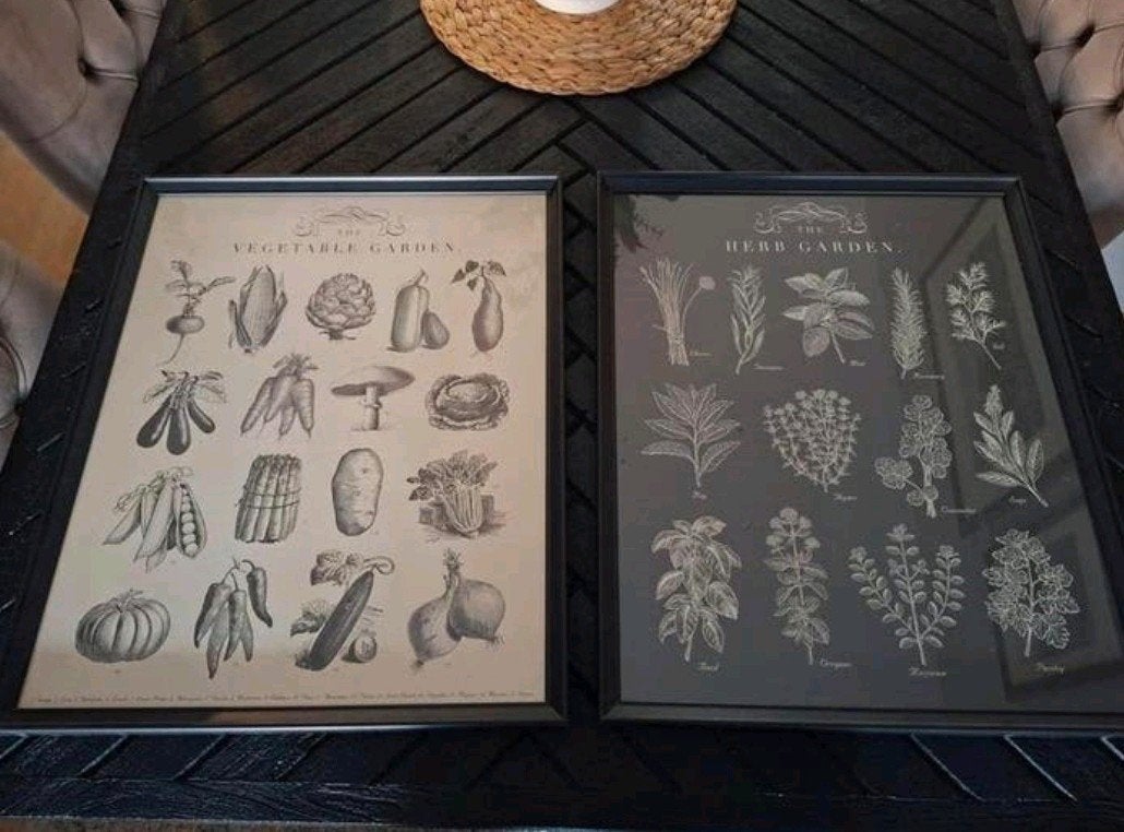 Ikea set van 2 ingelijste botanische prints, 50 – 75, Ophalen of Verzenden, 50 tot 75 cm, Print