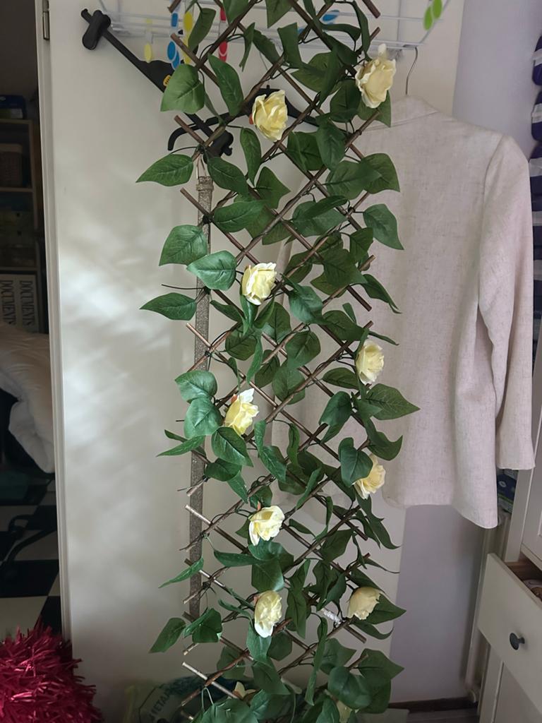 Decoratieve Klimroos op Uitschuifbaar Rek, Tuin en Terras, Planten | Tuinplanten, Ophalen of Verzenden, Bloeit niet, Klimplanten