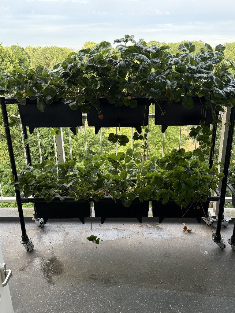 Bato aardbeien rekken met wielen 2 stuks, Tuin en Terras, Bloembakken en Plantenbakken, Gebruikt, Metaal, Balkon, Tuin, 60 cm of meer
