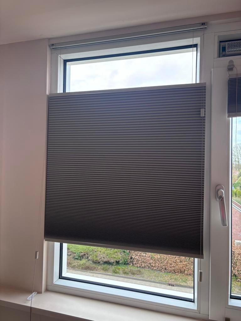 Verduisterd plissé gordijn taupe (kwantum, nieuw), Merk kwantum, Nieuw, 100 tot 150 cm, Beige