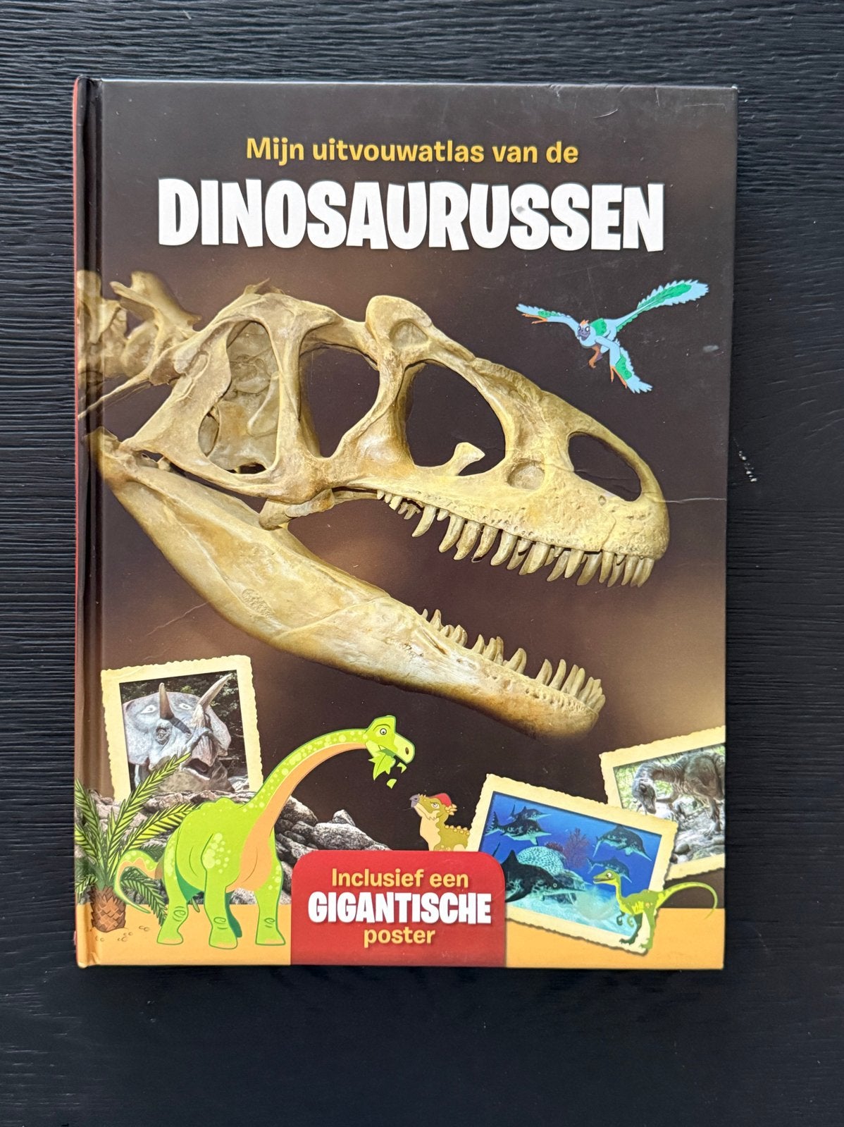 Mijn uitvouw atlas van de DINOSAURUSSEN - Inclusief poster, Boeken, Ophalen of Verzenden, Zo goed als nieuw, Non-fictie