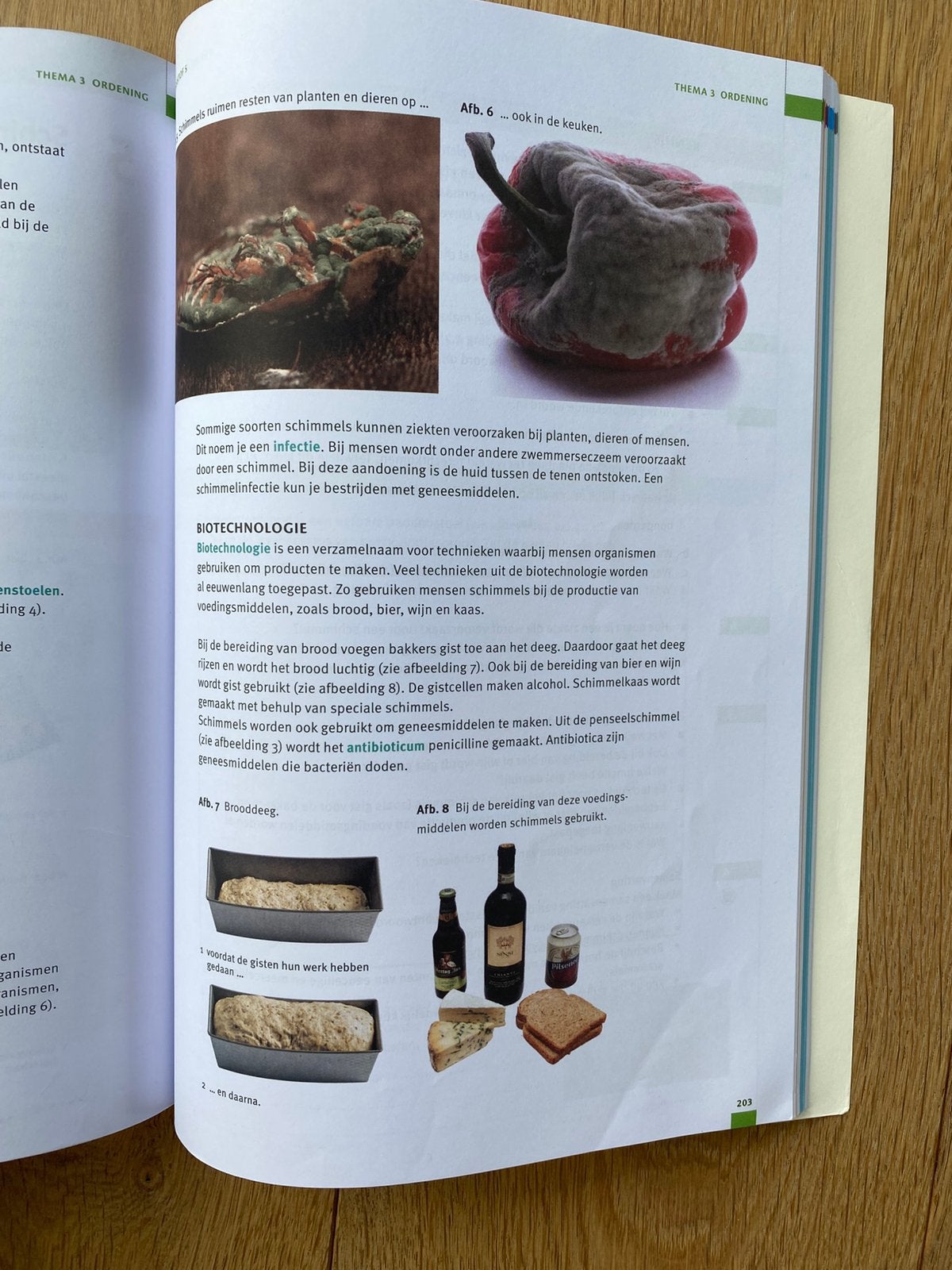 choolboek Biologie 1 havo/vwo deel A Malmberg, Boeken, Gelezen, Malmberg, Biologie, HAVO