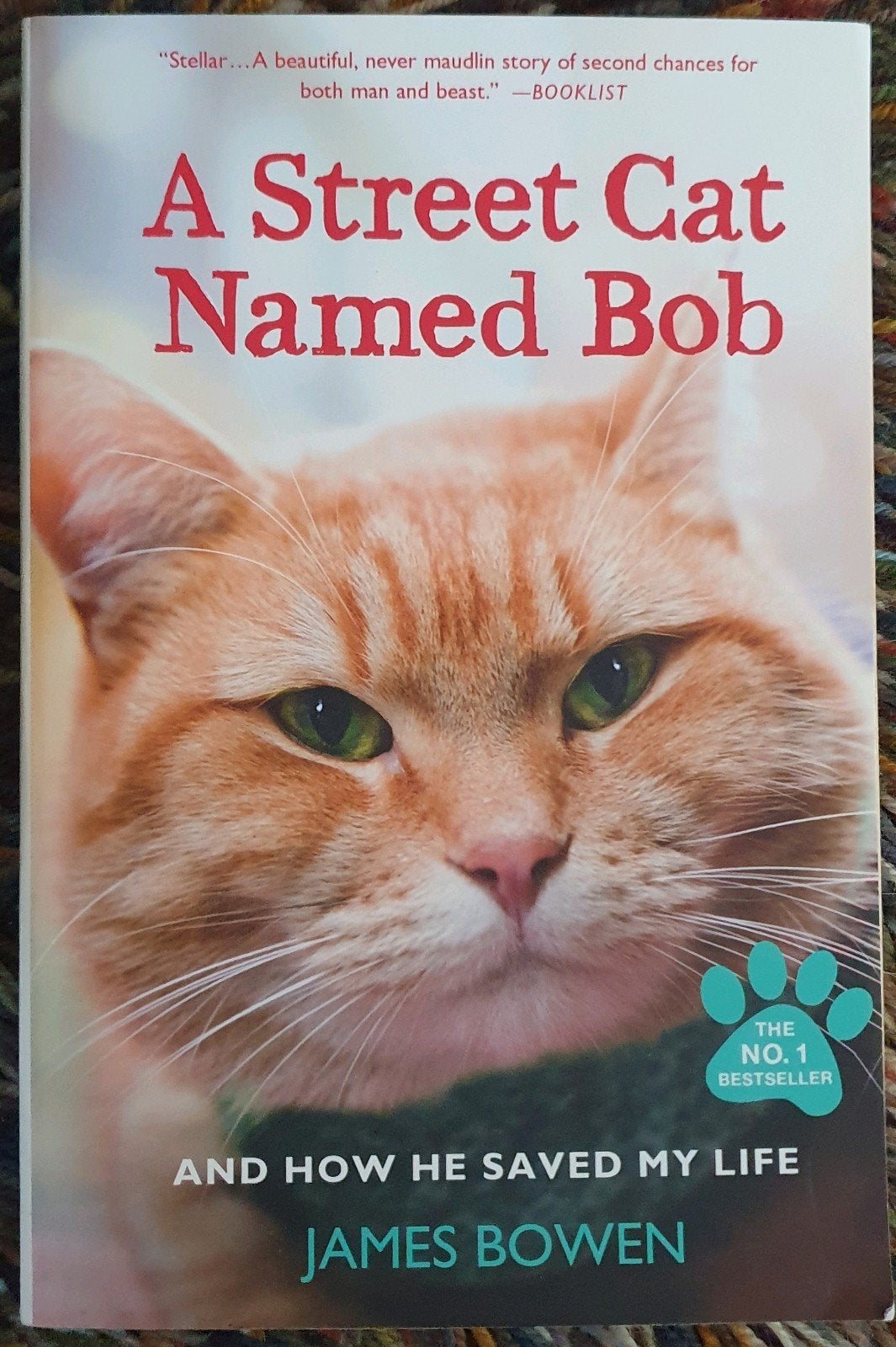 A Street Cat Named Bob - James Bowen (Engels), James Bowen, Ophalen of Verzenden, Zo goed als nieuw, Amerika