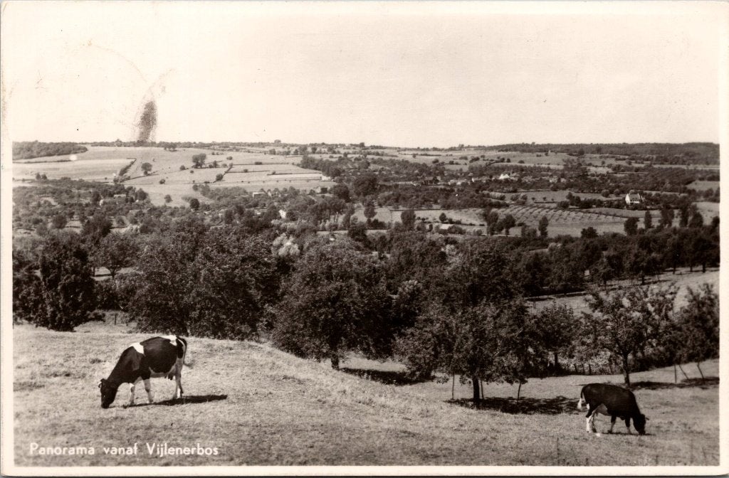 Vijlen - 12 oude ansichtkaarten, Verzenden, 1940 tot 1960, Gelopen, Limburg