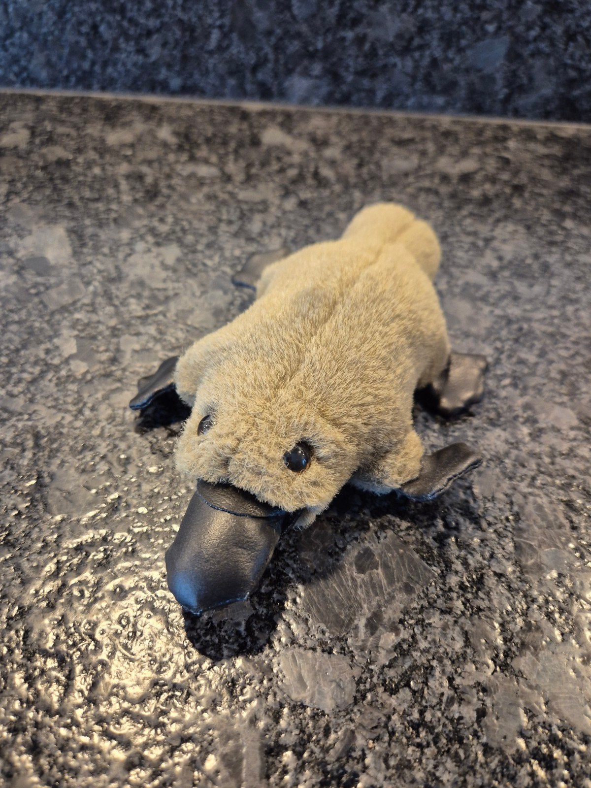 Knuffel Vogelbekdier, Ophalen of Verzenden, Overige typen