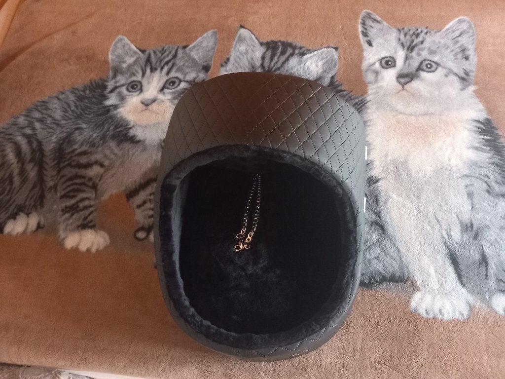 Katten of honden autostoel, Ophalen of Verzenden, Nieuw