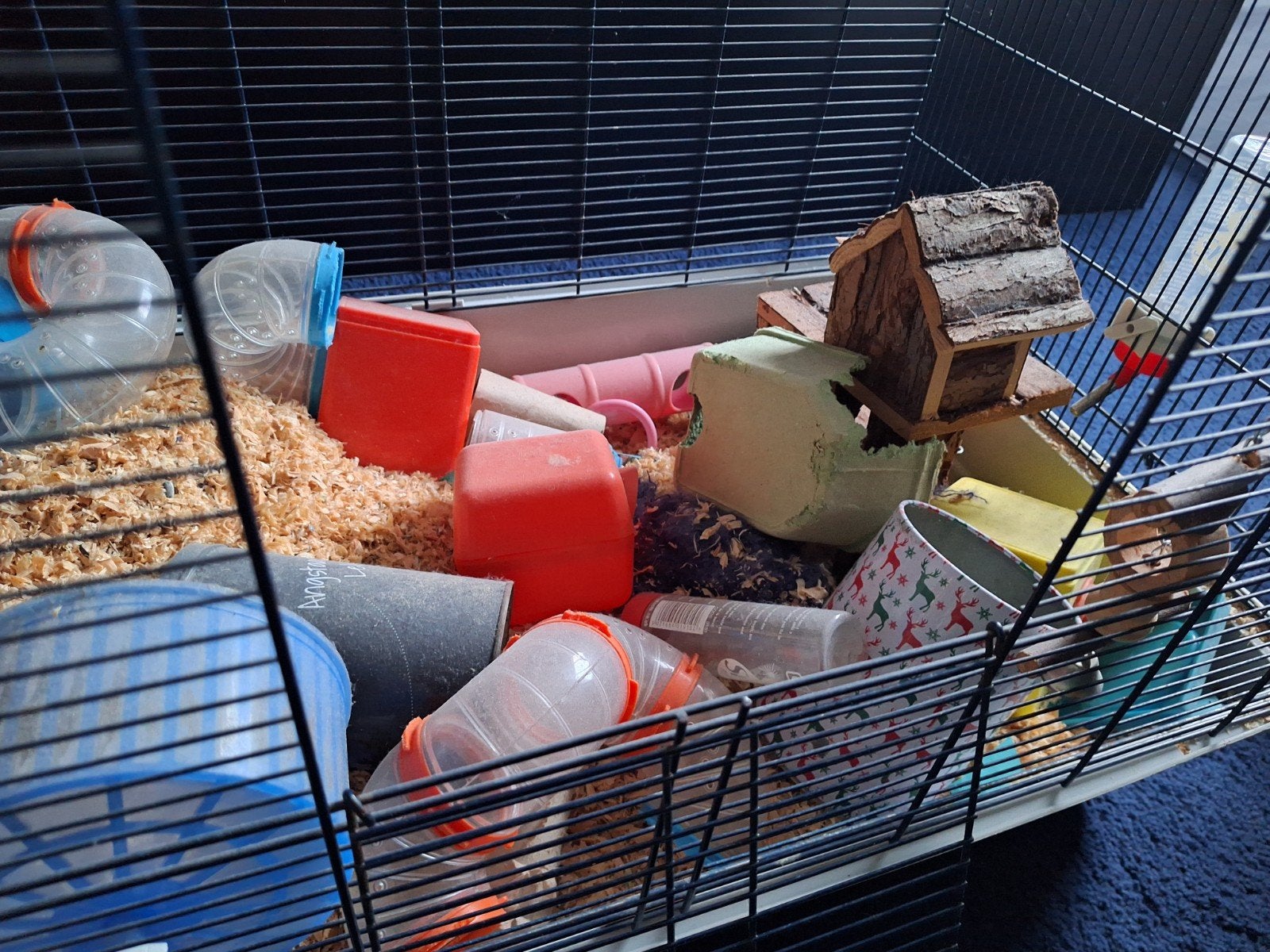 Complete hamsterkooi met toebehoren, Dieren en Toebehoren, Kooi, Gebruikt, Hamster, 75 tot 110 cm