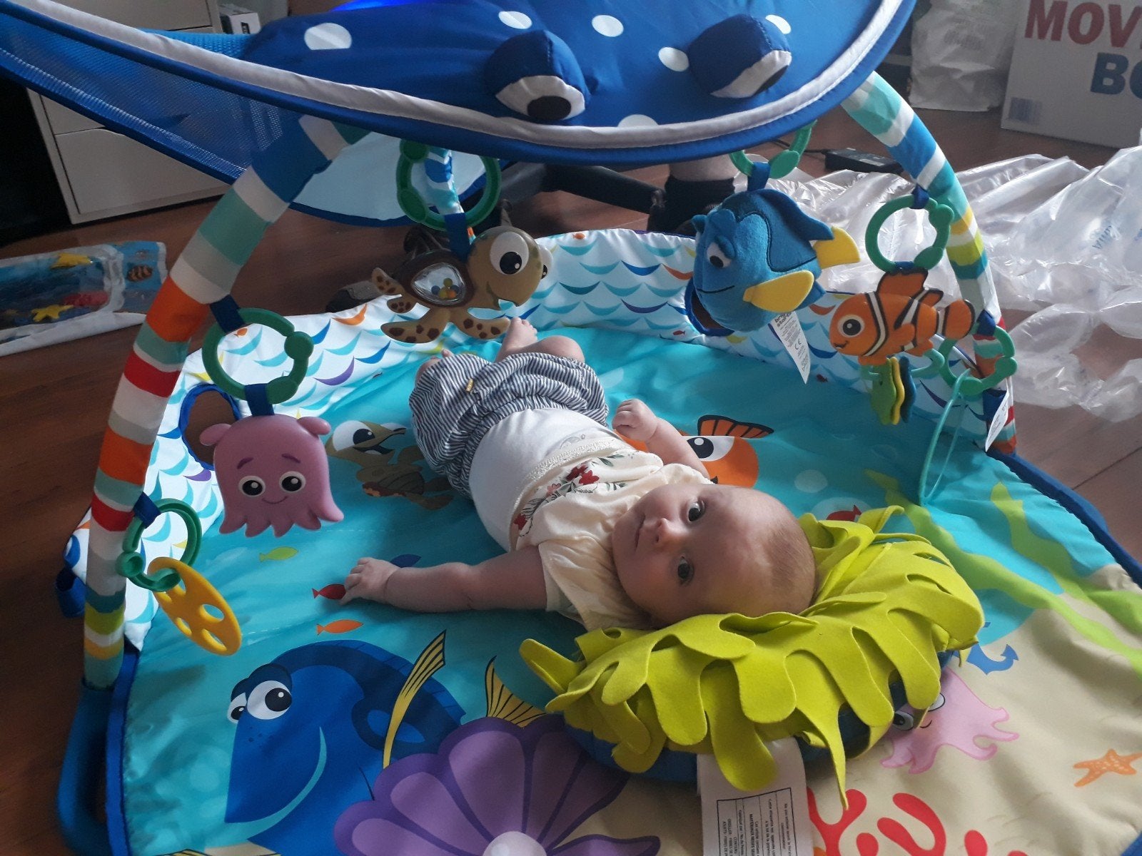 Finding Nemo babygym Mr Ray Ocean Lights, Kinderen en Baby's, Ophalen of Verzenden, Gebruikt, Babygym