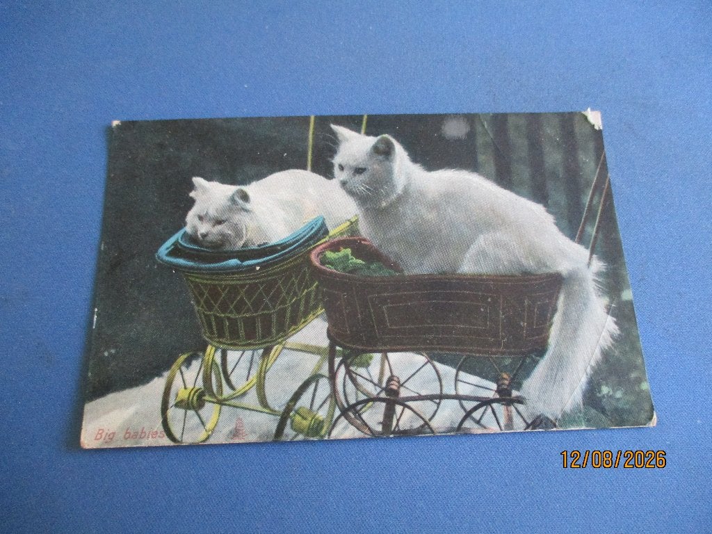 29 dieren, Verzamelen, Ophalen of Verzenden, Voor 1920, Ongelopen, Gelderland