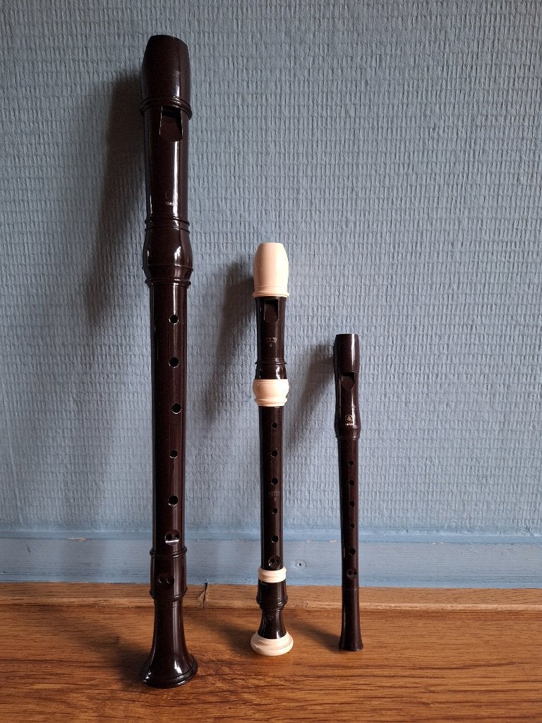 Set van Alt Blokfluit, Sopraan Blokfluit & Sopranino, Muziek en Instrumenten, Ophalen of Verzenden, Zo goed als nieuw, Alt, Kunststof