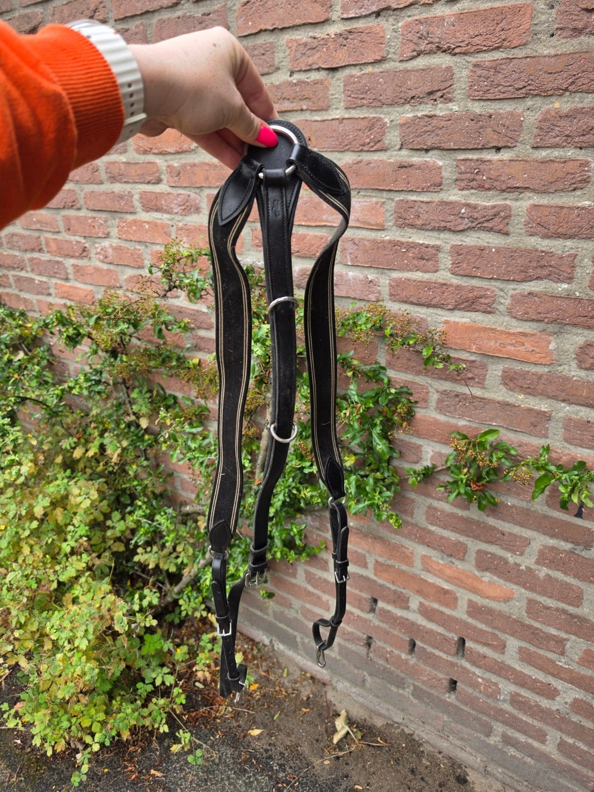 Schokemolle extra full borsttuig, Ophalen of Verzenden, Zwart, Borsttuig, Full