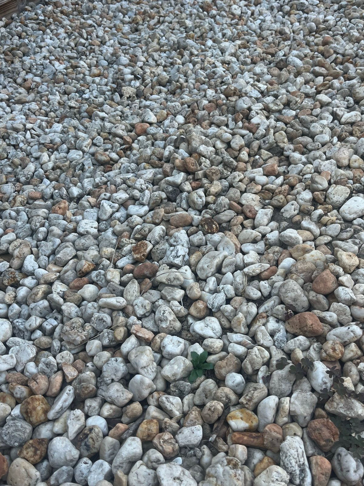 Grind zelf scheppen - Wit gemengd, Tuin en Terras, Ophalen, Overige materialen, Gebruikt, Grind