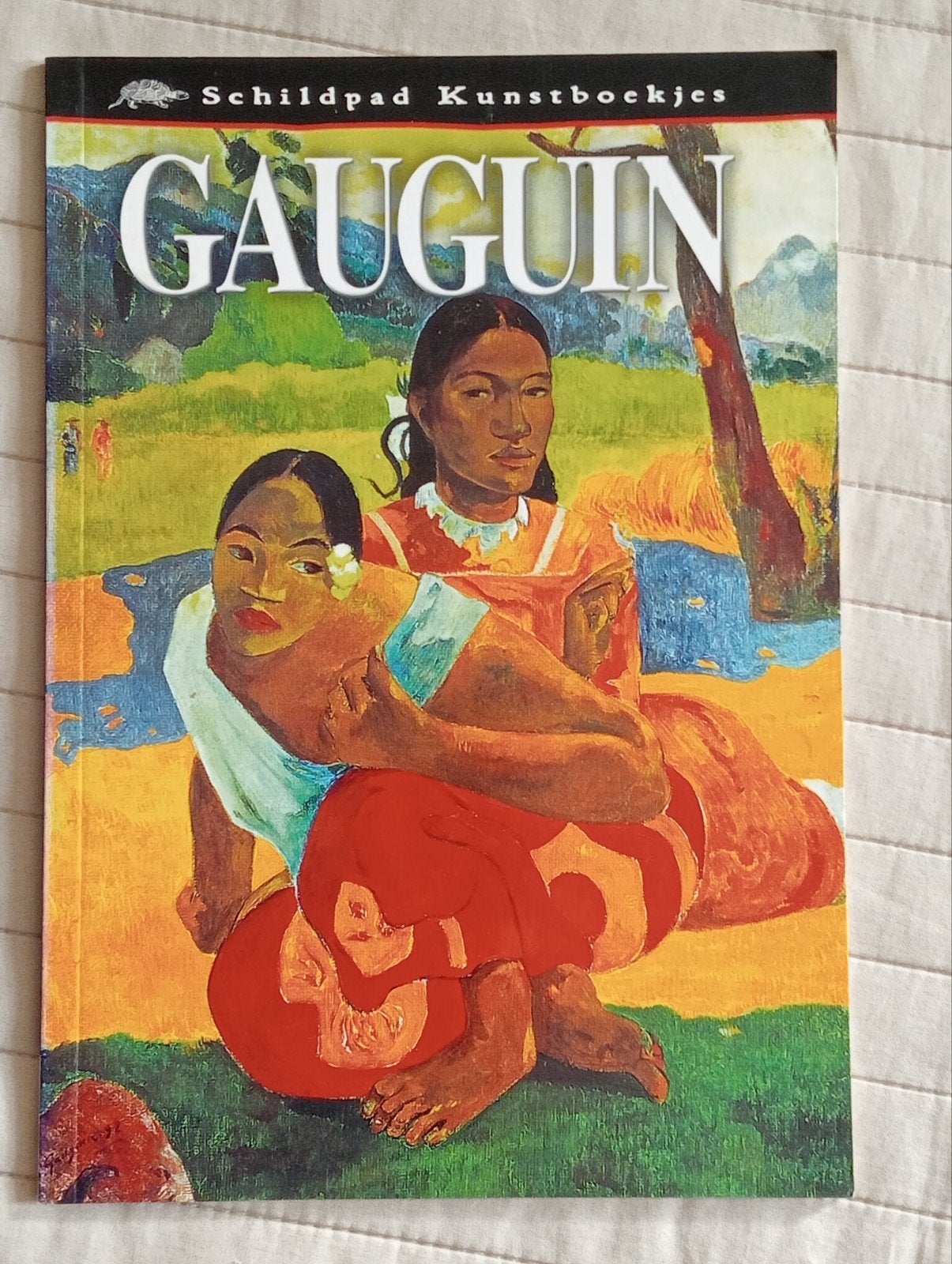Paul Gauguin uitgave, Ophalen of Verzenden, Zo goed als nieuw, Schilder- en Tekenkunst, Paul Gauguin