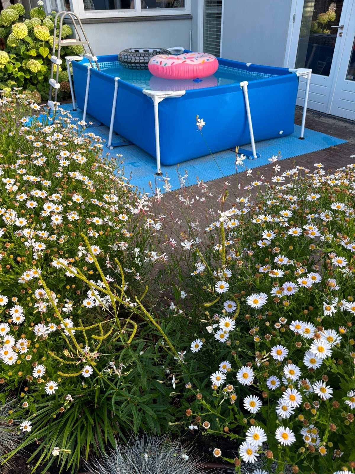 Intex zwembad met zoutpomp en accessoires, Ophalen, Gebruikt, Opzetzwembad, 200 tot 400 cm