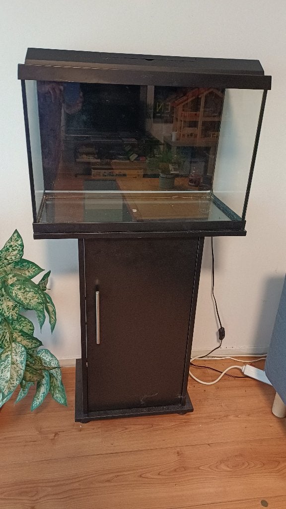 Juwel aquarium compleet met toebehoren, Ophalen, Gebruikt, Inclusief deksel, Aquariummeubel