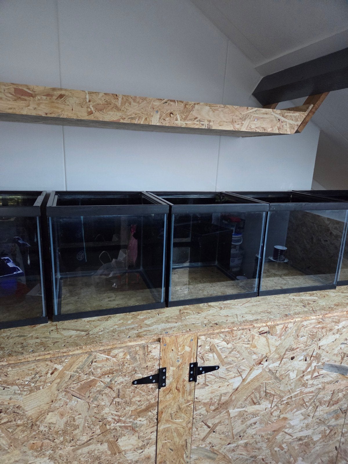 Aquariums 15 stuks, Ophalen, Leeg aquarium, Overige merken