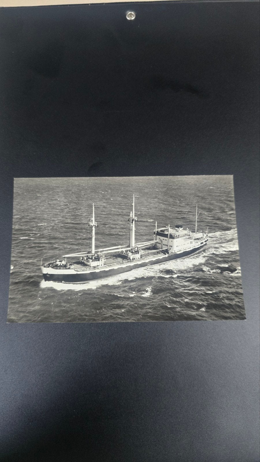 Originele foto m.s. Adonis - KNSM scheepvaart, Verzamelen, Ophalen of Verzenden