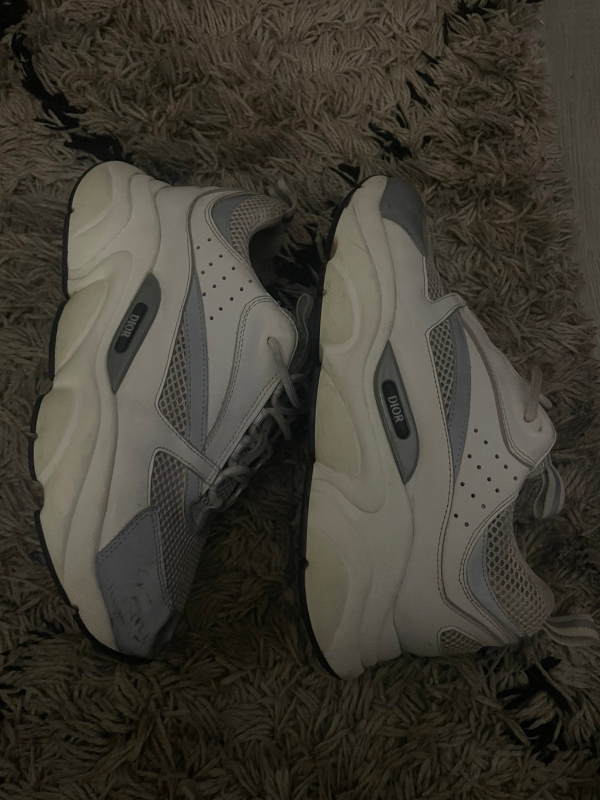 Dior b22, Ophalen, Wit, Sneakers of Gympen, Gedragen