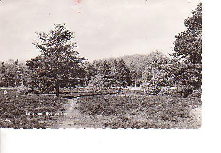 Ansichtkaart	Lunteren	Bos en hei, Verzenden, 1940 tot 1960, Gelopen, Gelderland