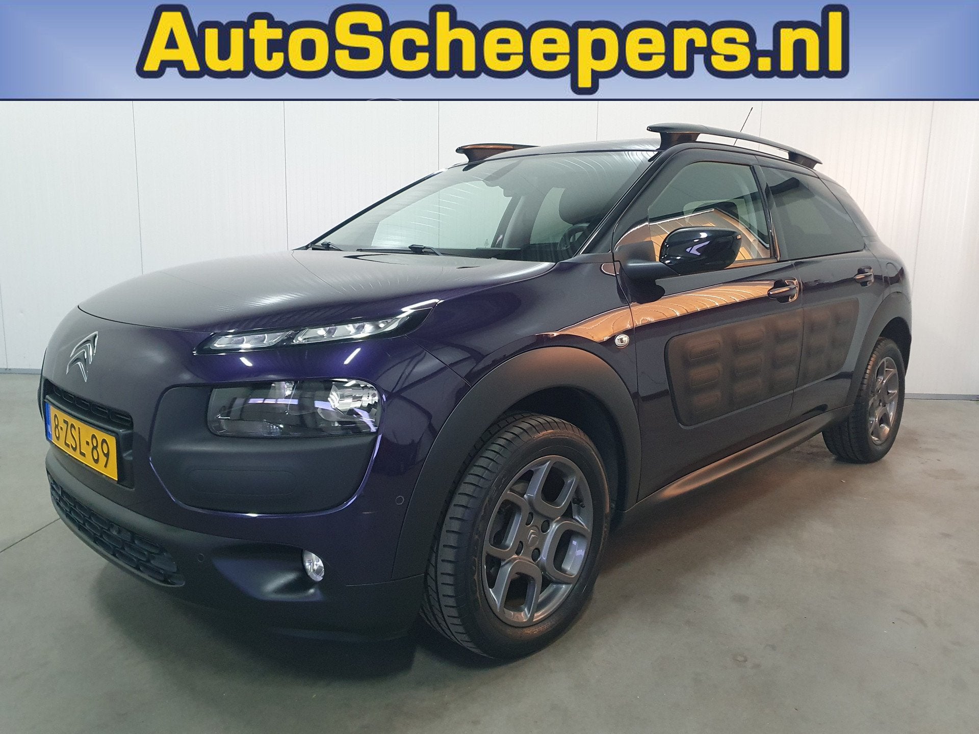 Citroën C4 Cactus 1.2 PureTech Shine NAVI/TRHAAK/CRUISE/STO, Euro 6, 995 kg, Leder en Stof, Origineel Nederlands