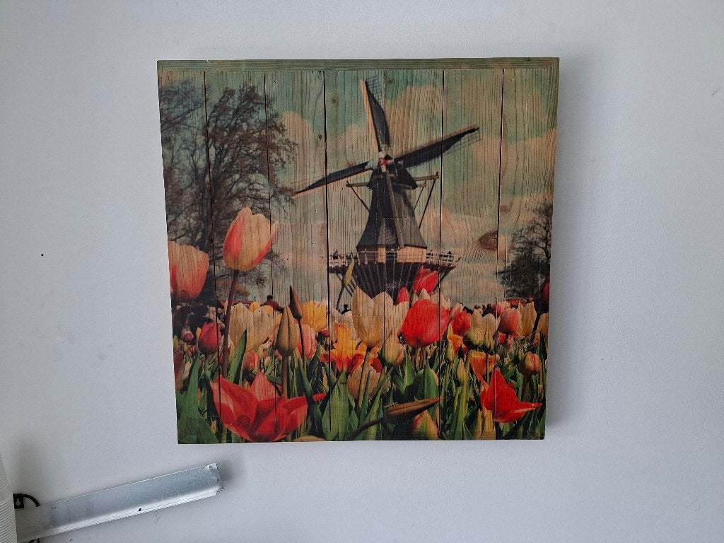 mooi grote wanddecoratie opdruk molen en tulpen op hout, Ophalen of Verzenden, Zo goed als nieuw
