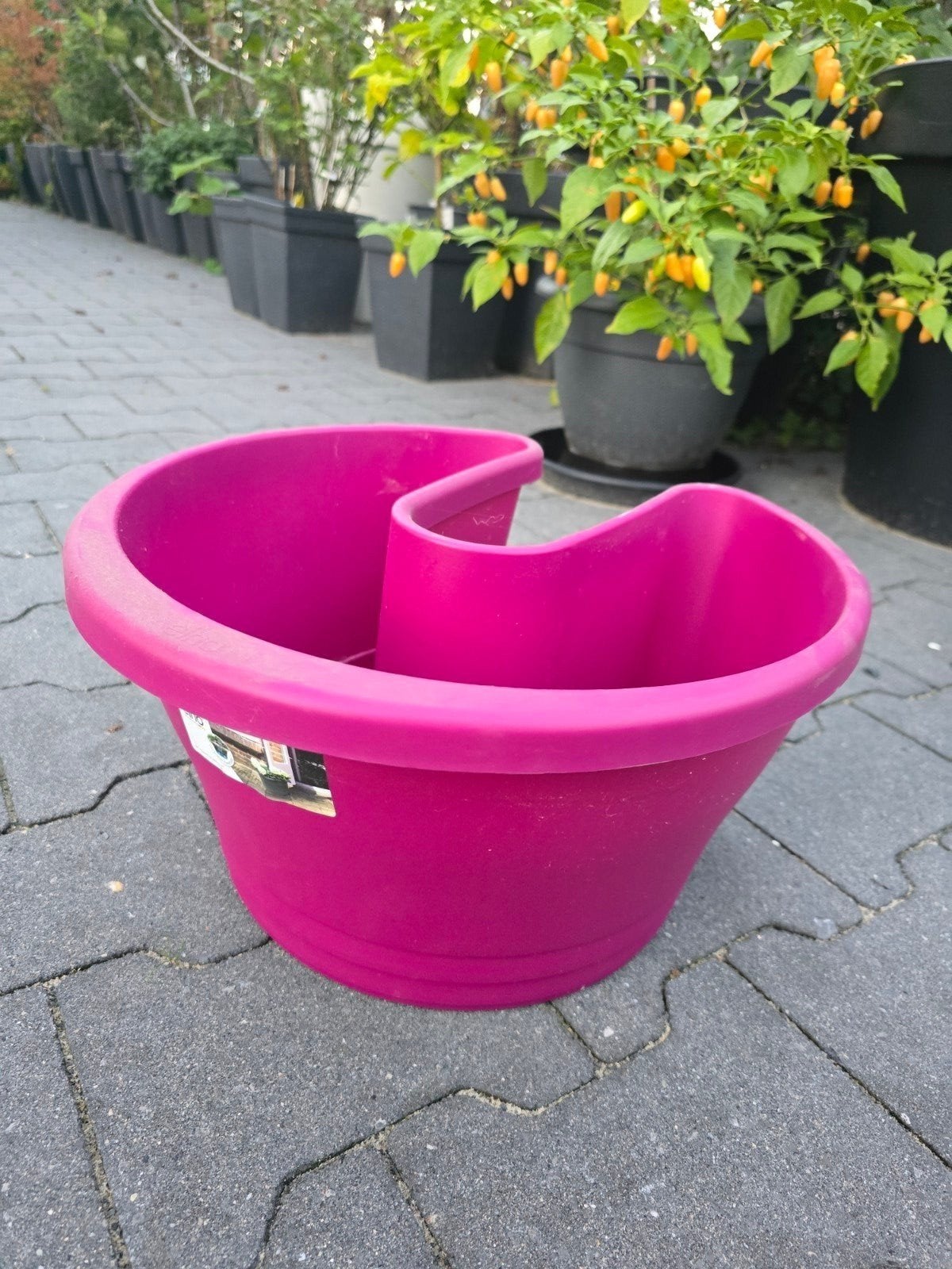 Elho verrijdbare deurstopper/plantenbak, Kunststof, Minder dan 30 cm, Rond, Nieuw