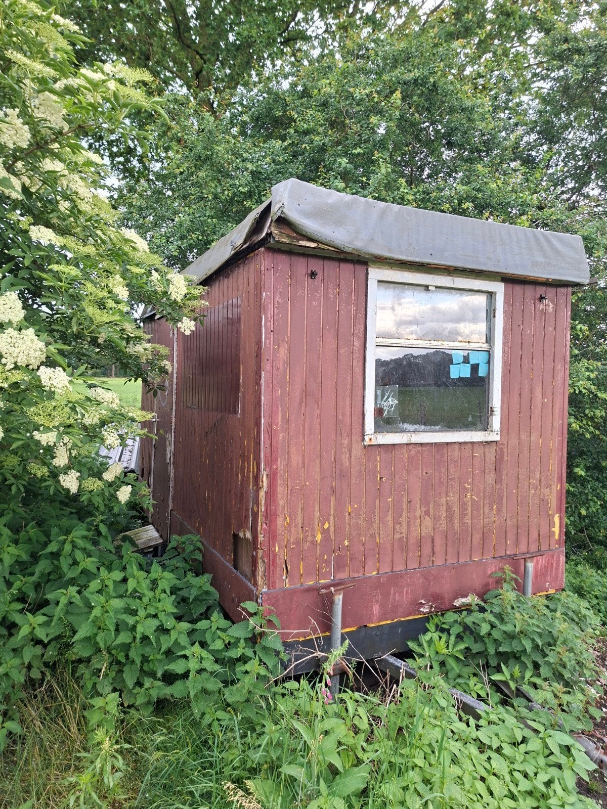 Gratis op te halen: Houten schaftkeet / werkkeet / hobbyruim, Tuin en Terras, Tuinhuizen, Gebruikt, Overige typen, Hout, 250 tot 500 cm