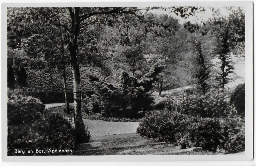 Berg en Bos Apeldoorn Oude Ongelopen Ansichtkaart ( B1692 ), Ophalen of Verzenden, 1960 tot 1980, Gelopen, Gelderland
