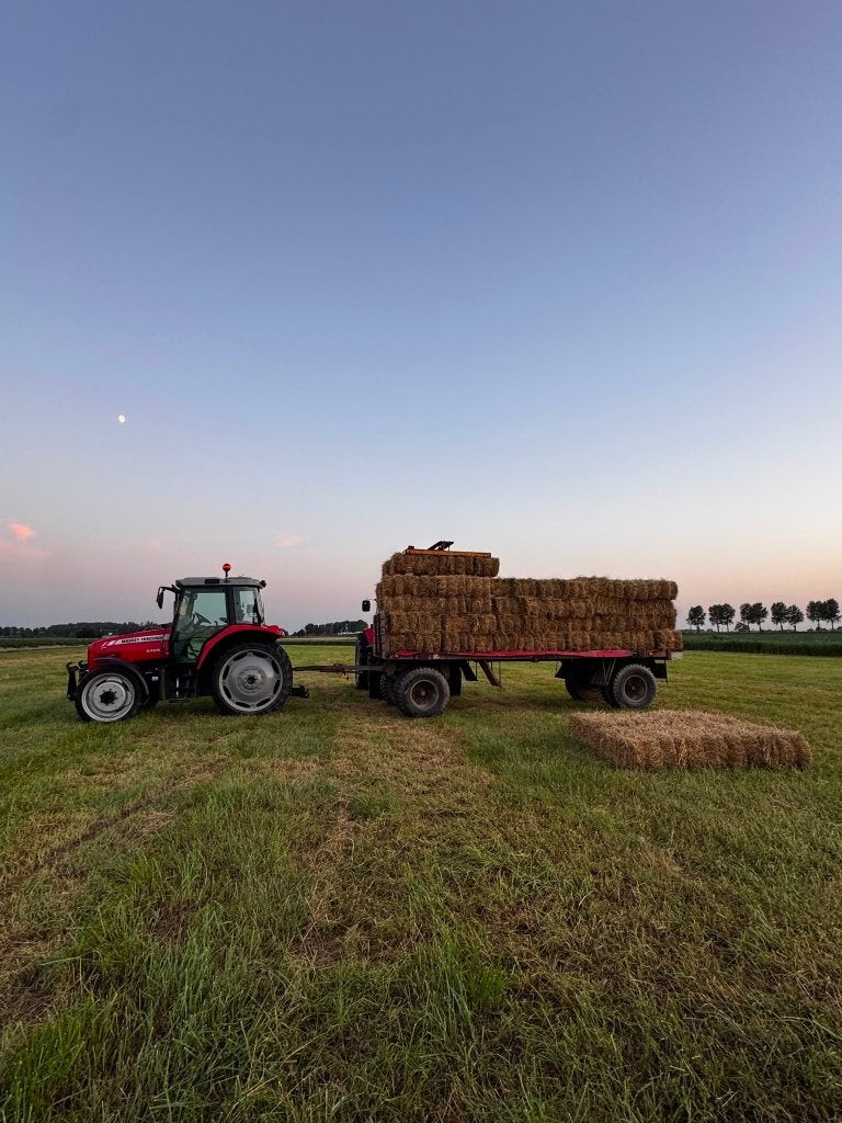 Weidehooi te koop – kleine pakjes, Dieren en Toebehoren, Ophalen, Vee