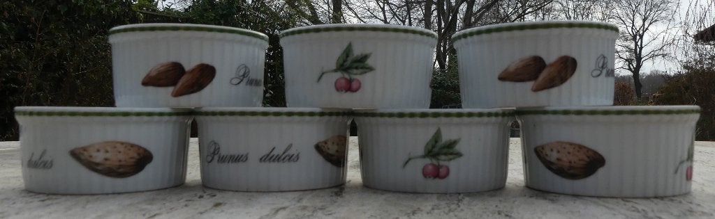 Apilco France Elysian Garden 7 Souffle Bakjes Casserole Dish, Huis en Inrichting, Overige merken, Vintage, Nieuw, Ophalen of Verzenden